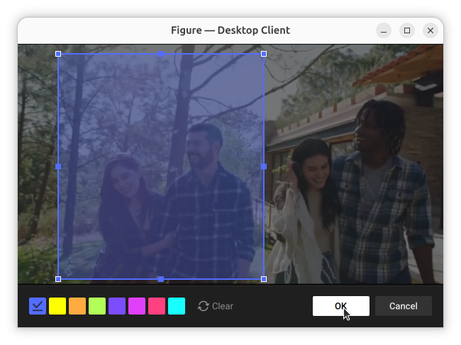 Figure editor dialog with a blue rectangle drawn over part of the camera image, resize handles visible, and the cursor over OK